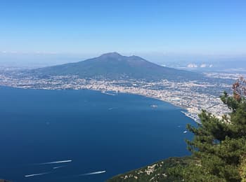 Top Excursion Sorrento