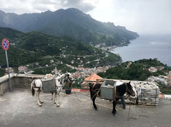 Top Excursion Sorrento